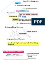 1-4 Starch Amylose: Amylases