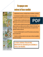 11_cidades.pdf