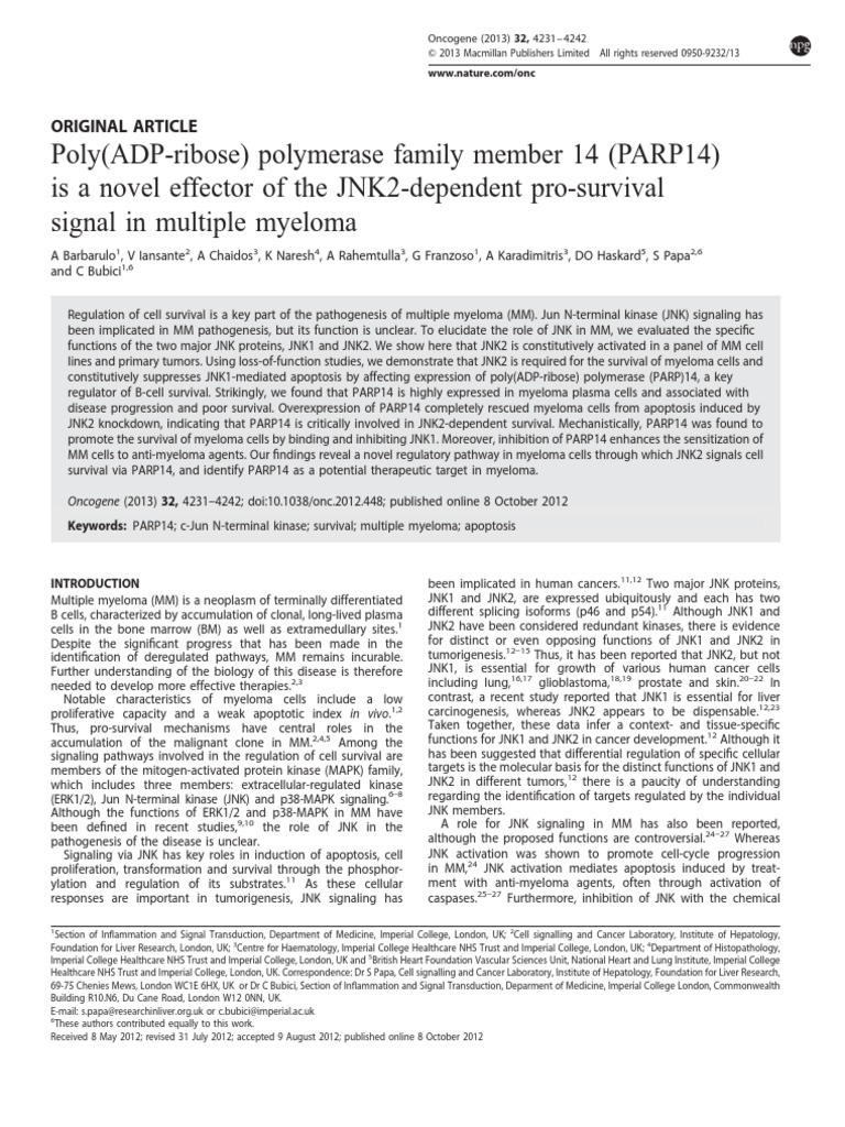 Apoptosis pathway picture