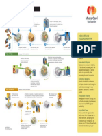 The Anatomy of A Transaction 031309 PDF