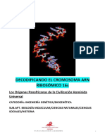 Decodificando El Cromosoma ARN Ribosomico 16s