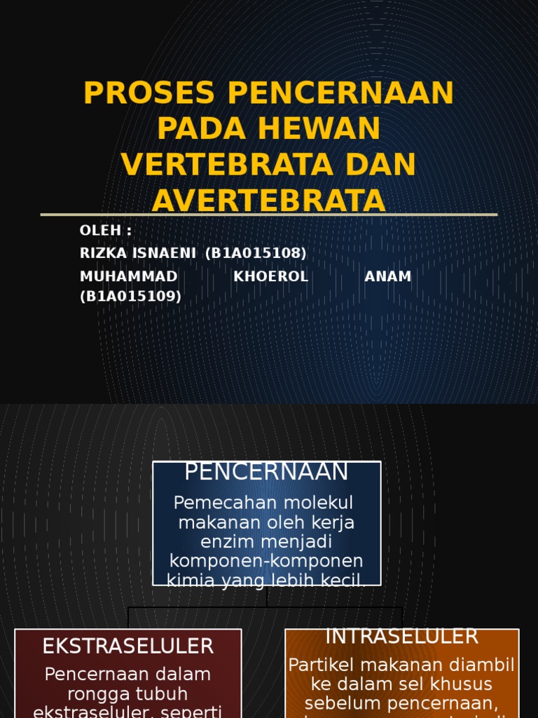 Proses Pencernaan Pada Hewan Vertebrata Dan Avertebrata