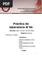 Informe de Lipidos Listo