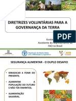 II CNPFA - Apresentação Gustavo Chianca - Diretrizes Voluntárias FAO