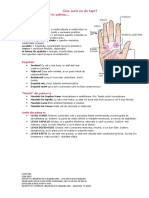 Liniile Palmei