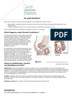 Epididymitis and Orchitis