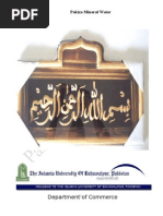 Download Mineral Water by shani27 SN33353371 doc pdf