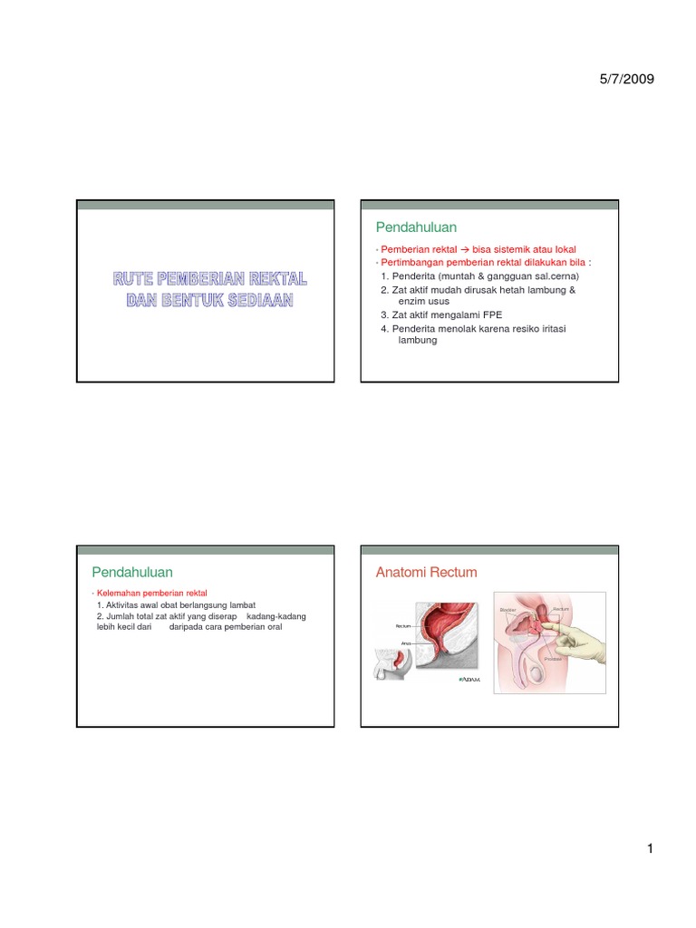 Pemberian Obat Melalui Rute Rektal | PDF