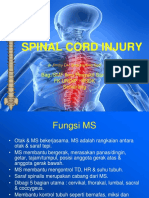 5. Spinal Cord Injury