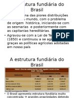 Estrutura Fundiaria Brasileira - 3b