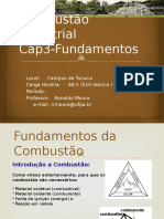 CAP3-Fundamentos de Combustão