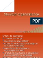 Structur I Organizator Ice