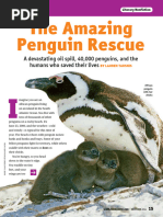 The Amazing Penguin Rescue