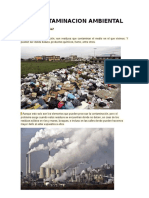 LA CONTAMINACION AMBIENTAL.docx