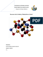 Trabajo Individual Bioquimica