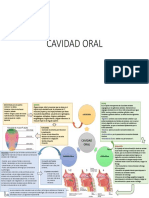01 Cavidad Oral PDF