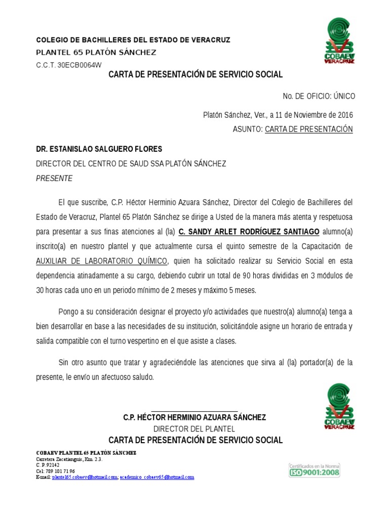 carta-de-presentacion-de-servicio-social-pdf-plat-n-bienestar