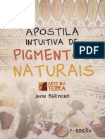 Apostila Intuitiva Pigmentos Naturais PDF