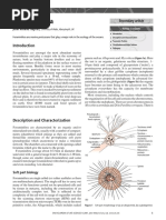 Applied Palynology Allergen Allergy - 