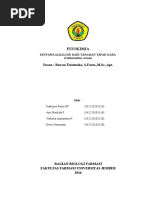 Download catharanthus roseus by AyuMaulida SN333591167 doc pdf