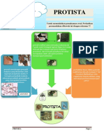 Bahan Ajar Kapsel Fix 2 Protista