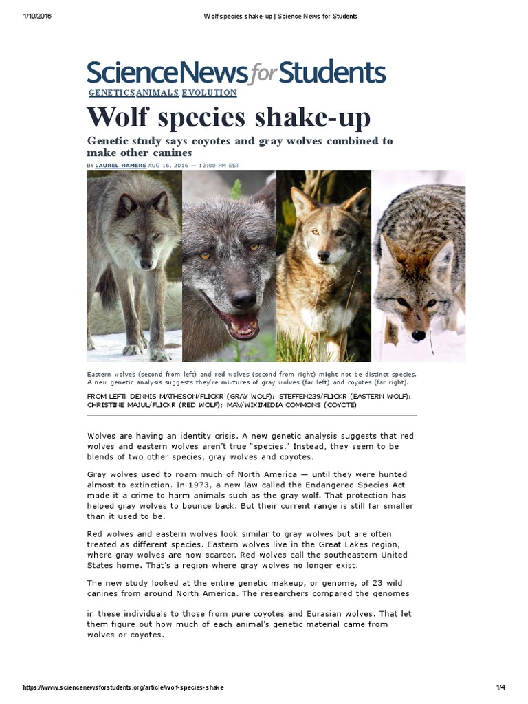 Wolf Species Shake-Up - Science News For Students | PDF | Social Science