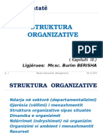 7 Struktura-Organizative
