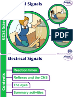 5. Electrical Signals v2.0.ppt