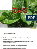 INTOXICACAO POR PLANTAS.pdf