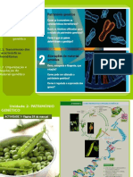 6_Transmissão Das Características Hereditárias (Monibridismo)