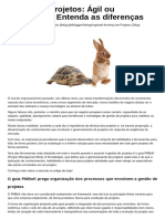 -04 - orig - Article - Gestao de projetos- Agil ou tradicional- Entenda as diferencas.pdf