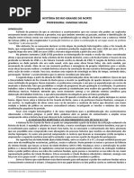 Apostila - História RN - Vanessa.pdf