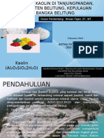 Potensi Kaolin Daerah Tanjungpandan