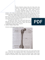 Pengertian Fraktur Femur