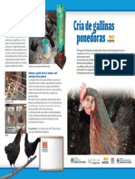 script-tmp-inta_-_cra_de_gallinas_1.pdf