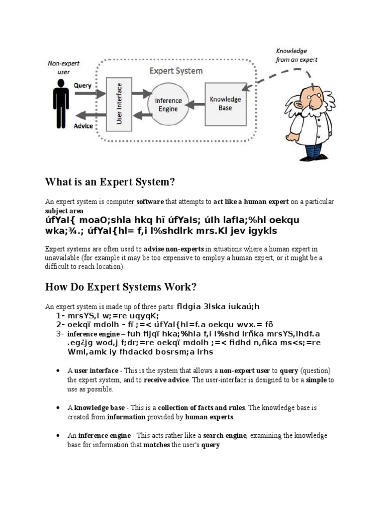 What is an Expert System Expert Medical Diagnosis