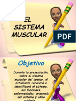 Presentación Sistema Muscular