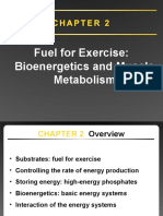 Bioenergetics