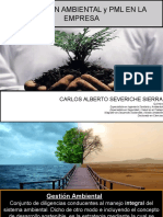 Gestion Ambiental Empresarial