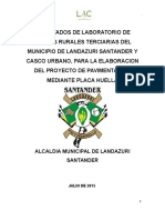 Informe Resultados Placa Huellas Grupos 