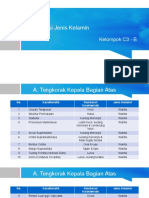 Identifikasi Jenis Kelamin