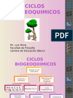 Ciclos Biogeoquimicos Luis