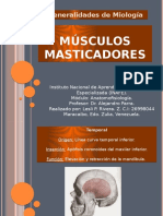 Anatomia MUSCULOS Masticadores