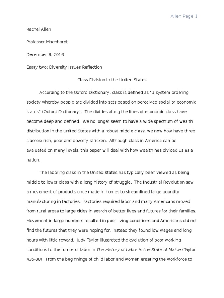 Sample diversity essay picture