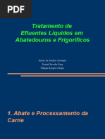 Apresentação - Abatedouros e Frigorificos
