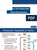 Ne Regulation Prokaryoperon