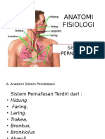 ANATOMI FISIOLOGI Respirasi