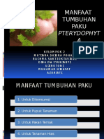 Kelompok 2 Manfaat Paku