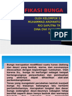 Modifikasi Bunga, PPT