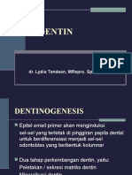 Dentin